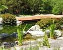 Schwimmteich mit Naturregenerationsbereich Schwimmteich mit Naturregenerationsbereich